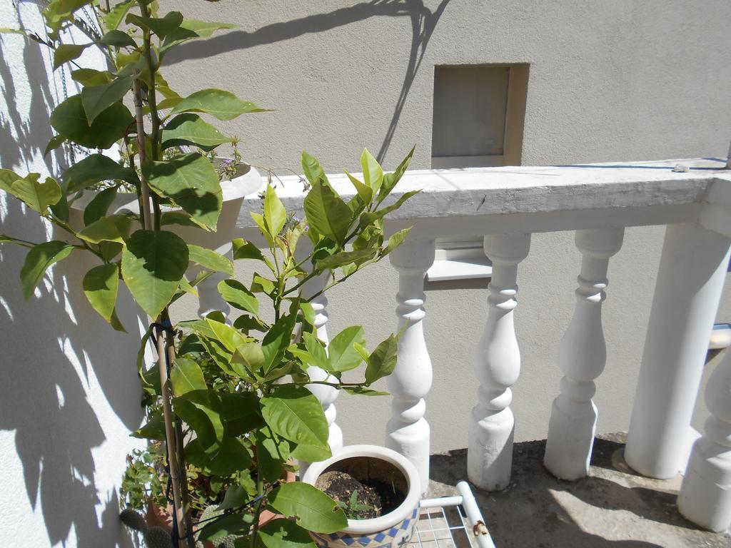 Apartments Ema Šibenik Dış mekan fotoğraf
